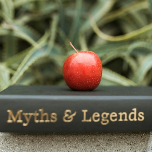 pexels-rdne-553077822345