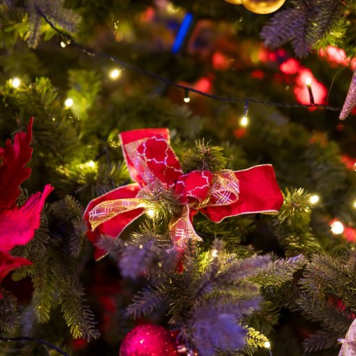 freecompress-008 - zdjeciaeventowe.pl